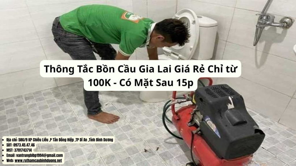 thông tắc bồn cầu gia lai